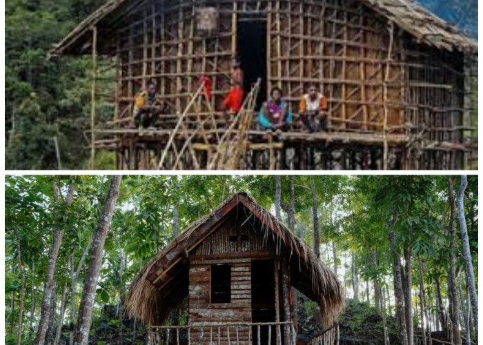  Rumah Mod Aki Aksa Papua Barat: Bangunan Kaki Seribu yang Menarik dan Sarat dengan Makna Budaya