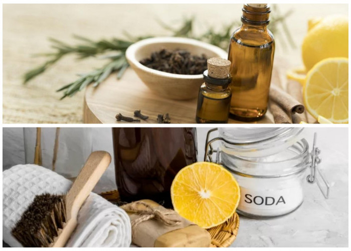 Rahasia Ruang Tamu Selalu Wangi Semerbak Hotel Mewah Hanya dengan Bahan Dapur!