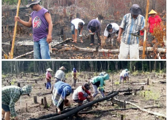 Suku Rambang dan Kearifan Lokal: Warisan Budaya yang Tetap Hidup di Tengah Sawah