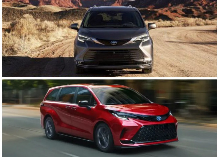 Sienna Terbaru Curi Perhatian Global, Mobil Sejenis Apa yang Tersedia di Tanah Air?