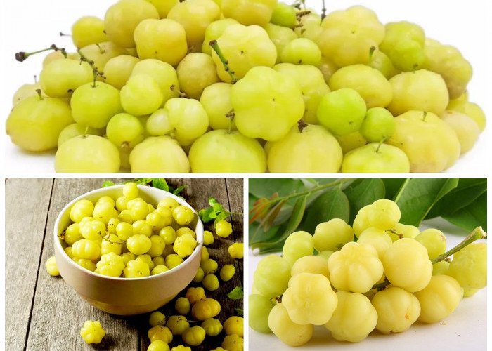 Manfaat Buah Cermai bagi Kesehatan Tubuh: Dari Detoksifikasi hingga Menurunkan Berat Badan!