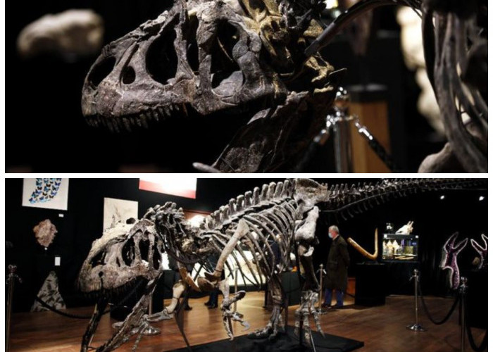 Mengungkap Sejarah Peradaban Zaman Dahulu Melalui Temuan Fosil-fosil Tulang Dinosaurus 