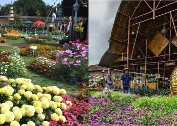 Taman Begonia, Tempat Selfie Plus Wisata Edukasi Di Lembang