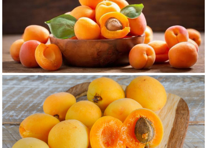 Sejuta Rahasia Sehat di Balik Buah Aprikot, Kecil Tapi Manfaatnya Luar Biasa!
