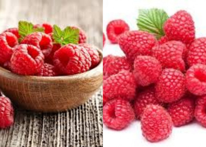 Catat! Ini Manfaat Raspberry Untuk Kesehatan Tubuh Yang Jarang Diketahui