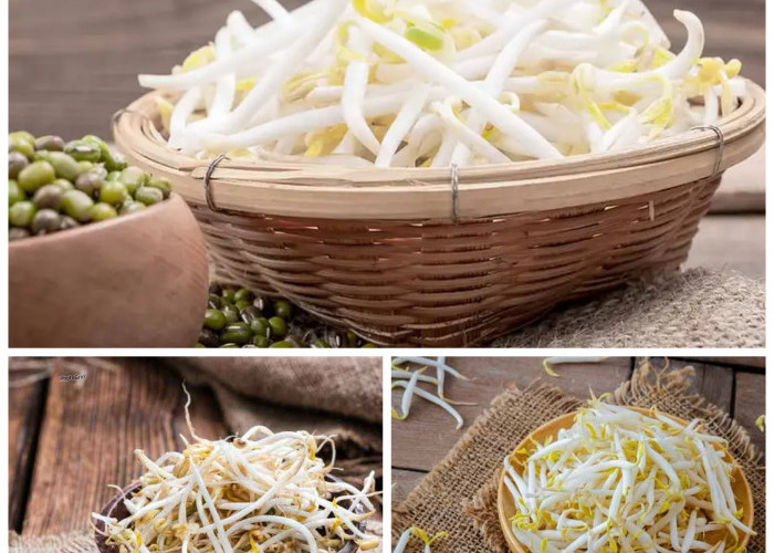 Inilah Sejumlah Manfaat Toge bagi Kesehatan: Si Kecil yang Kaya Nutrisi