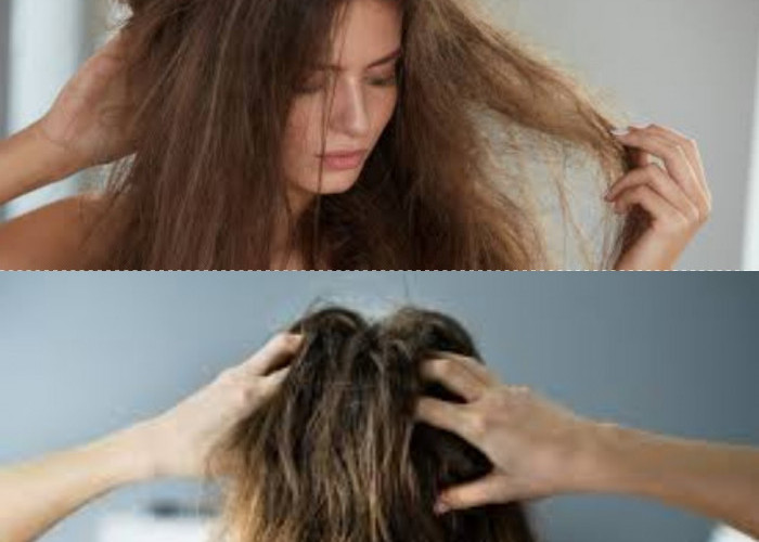 Tanda-Tanda Rambut Butuh Perawatan Intensif