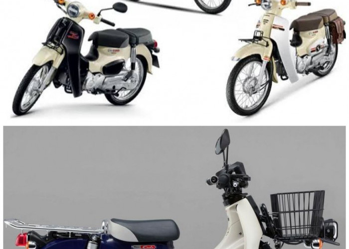 Honda Super Cub 110 Pro Meluncur dengan Konsep Bebek Niaga, Apa Saja Keunggulannya Dibanding Model Reguler?
