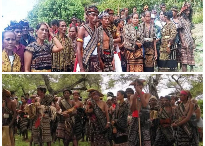 Sejarah Suku Sabu, Asal-Usul Kepercayaan Tradisional Bahasa dan Warisan Budaya Masyarakat!