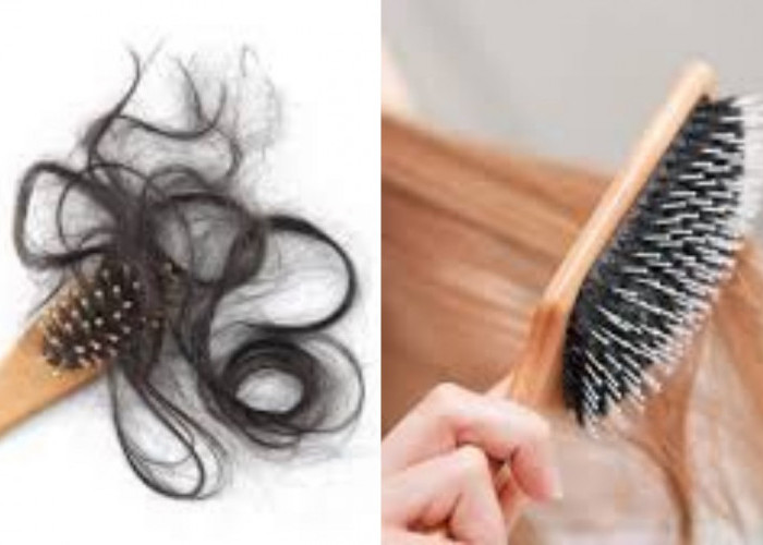 Jangan Biarkan Sikat Rambut Menjadi Sarang Bakteri, Bersihkan dengan Cara Berikut!