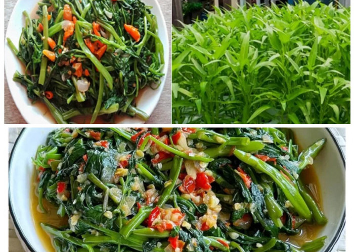 Menguak Manfaat Kangkung: Rahasia Sayur Sederhana untuk Kesehatan Tubuh