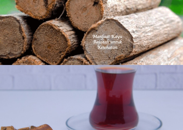 Akar Bajakah, Ketahui Manfaat dan Cara Mengonsumsinya Yuk Simak!
