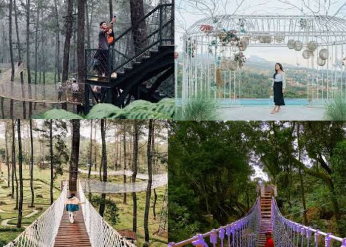 Berani Coba? Sensasi Berjalan di Udara di Skywalk Instagramable Ini Bikin Deg-Degan!