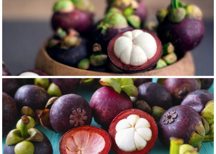Ketahui 5 Manfaat Buah Manggis untuk Kesehatan, Si Ratu Buah yang Kaya Antioksidan!