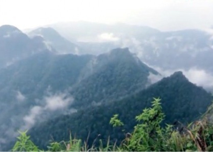 Kamu Harus Tau! inilah 7 Fakta Menarik Tentang Gunung Sunda, Salah Satunya Ada Pesantren Gaib Loh