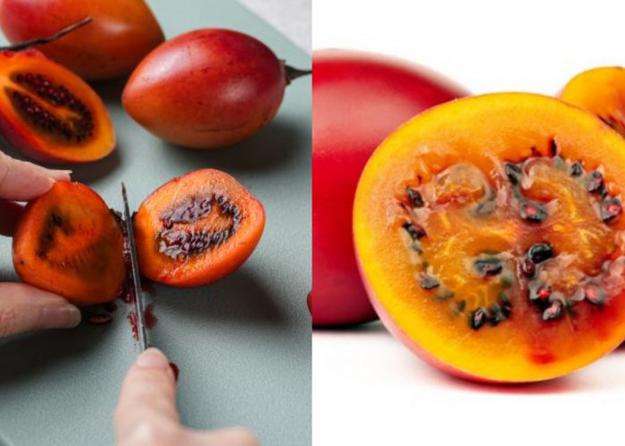 Mengungkap Manfaat Terong Belanda bagi Kesehatan Tubuh Anda!