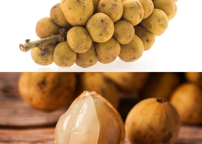 Kenapa Buah Langsat Disebut Superfood Tropis? Ini Alasannya!