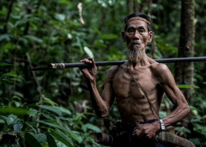 Suku Punan Batu, Si Pemburu dan Peramu di Gunung Batu Benau