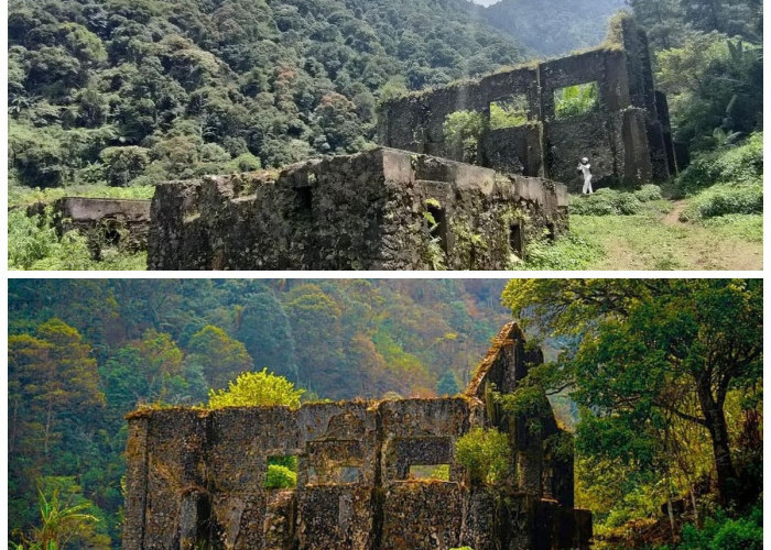Sejarah Gunung Puntang: Jejak Peradaban, Alam, dan Misteri di Jawa Barat!