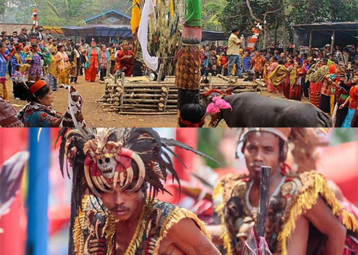 Tabu dan Tradisi Suku Dayak: Apa yang Bisa Kita Pelajari dari Kehidupan Mereka?