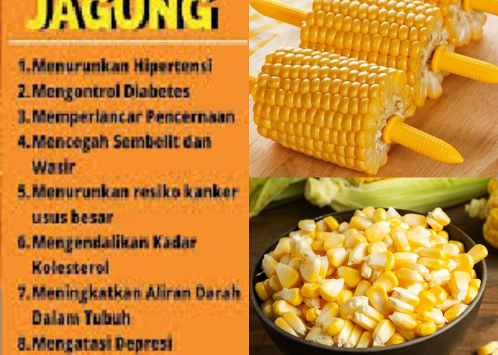 Sudah Tahu 6 Manfaat Jagung Untuk Kesehatan? Yuk, Cek Sekarang!