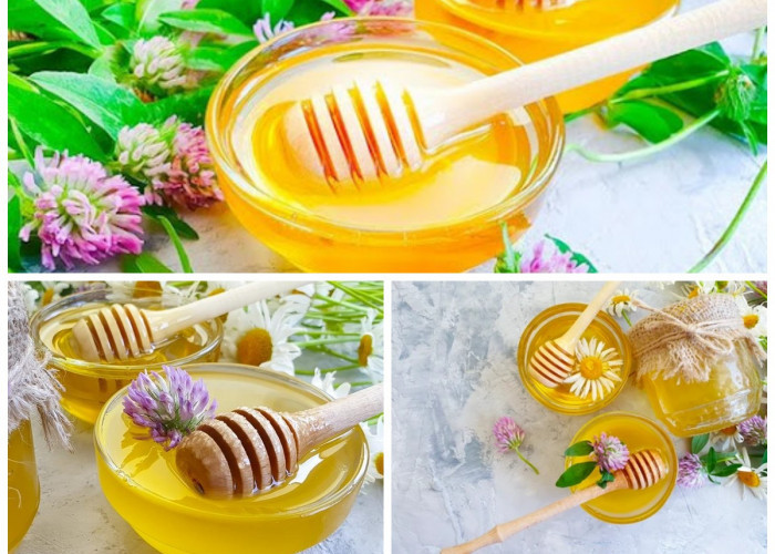 Manfaat Clover Honey bagi Kesehatan Tubuh dan Kecantikan: Rahasia Alami dari Madu Semanggi!