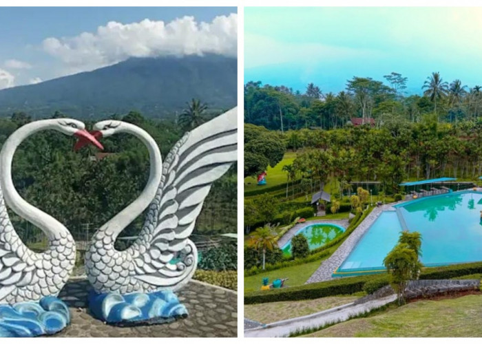 Menelusuri Keindahan Taman Angsa Jawa Barat: Daya Tarik dan Pesonanya