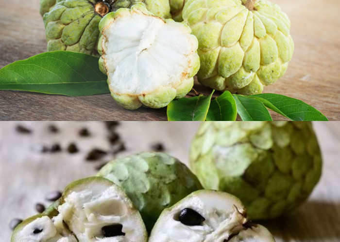 Ketahui 6 Manfaat Buah Srikaya untuk Kesehatan Yuk Simak!