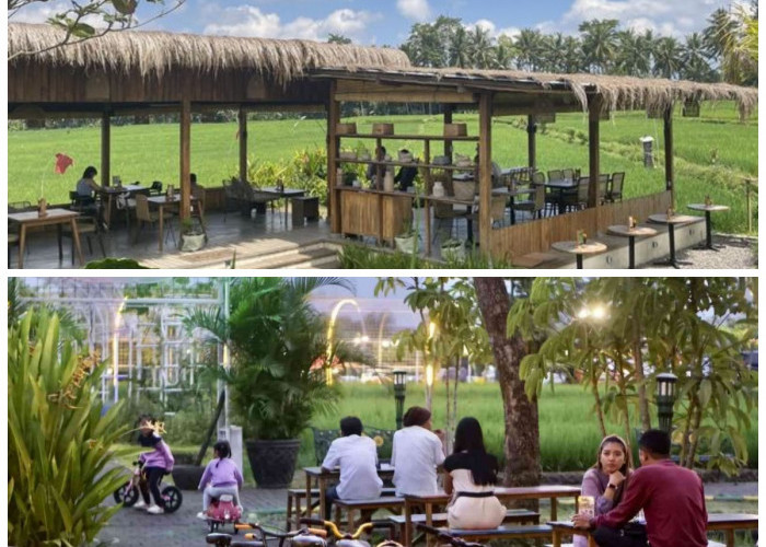 10 Desain Cafe Pinggir Sawah Paling Hits 2026: Perpaduan Gaya Modern dan Nuansa Alam yang Menenangkan