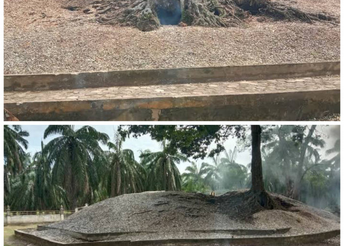 Menelusuri Sejarah Bukit Kerang: Menelusuri Jejak Peradaban Prasejarah di Pesisir Nusantara!