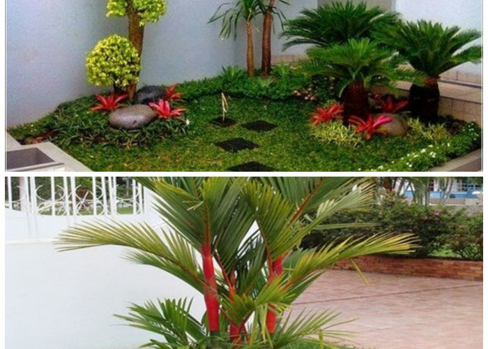 Bikin Halaman Lebih Asri! 7 Palem Mini Favorit yang Sejuk dan Minim Perawatan