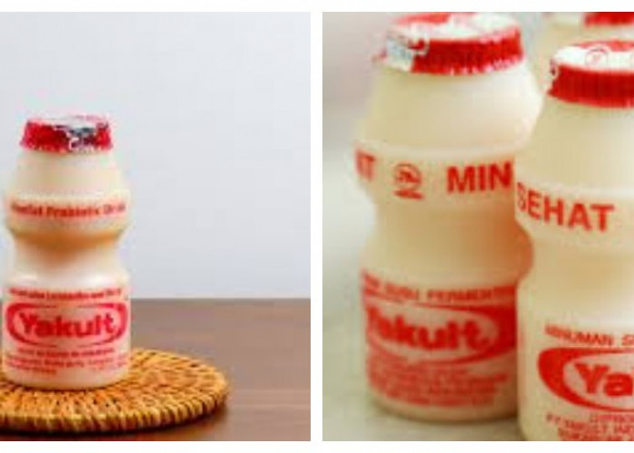 10 Manfaat Yakult untuk Kesehatan Tubuh