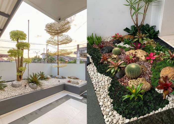 Desain Taman Kering Outdoor Minimalis yang Estetik dan Mudah Dirawat!