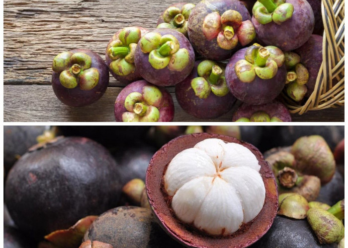 Ketahui 5 Manfaat Buah Manggis untuk Kesehatan Tubuh yang Luar Biasa!