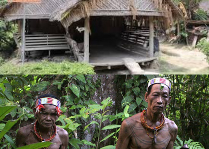 Mengapa Suku Mentawai Membangun Rumah Tanpa Paku? Begini Alasannya!