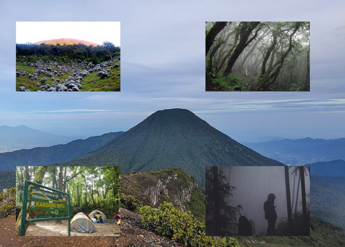 TAKUT! 4 Mitos di Gunung Gede Pangrango, Bahkan Ada Yang Sampai Dipeluk Raksasa Hitam