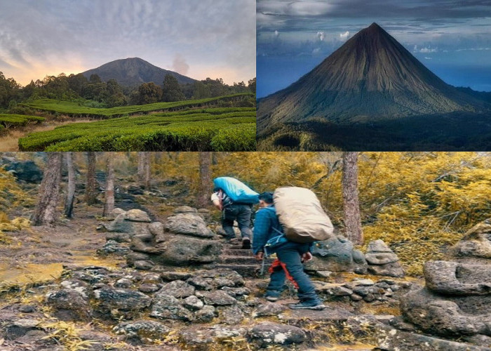 Tawarkan Keindahan, Namun 6 Gunung Ini Paling Angker di Indonesia, Ada Gunung Dempo Juga Loh!