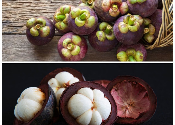 5 Manfaat Buah Manggis untuk Kesehatan: Ratu Buah yang Penuh Khasiat Antioksidan!