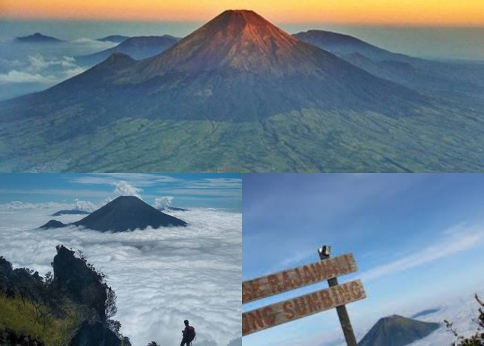 Ingin Mendaki Gunung Sumbing? Simak Fakta Menariknya Sebelum Berangkat!