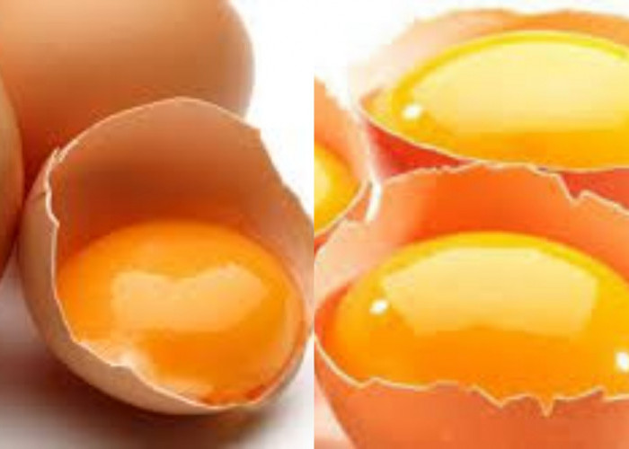 Menjaga Keseimbangan Hormon Inilah Manfaat Kuning Telur Untuk Kesehatan!