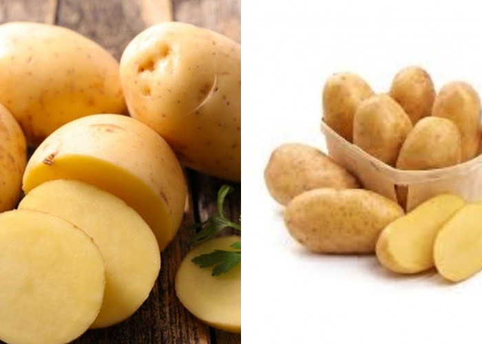 Menjaga Tekanan Darah Inilah Manfaat Kentang Yang Harus Kalian Tahu! 