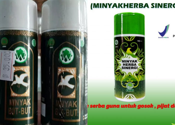 Mengenal Minyak But But: Kandungan, Khasiat, dan Cara Menggunakannya dengan Tepat
