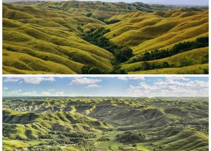 Sejarah Bukit Wairinding: Jejak Budaya, Keindahan Alam, dan Warisan Leluhur di Tanah Sumba Timur!