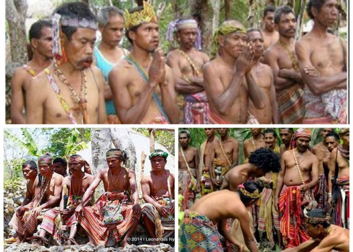 Sejarah Suku Dawan, Asal Usul, Tradisi dan Identitas Budaya Masyarakat Timor!