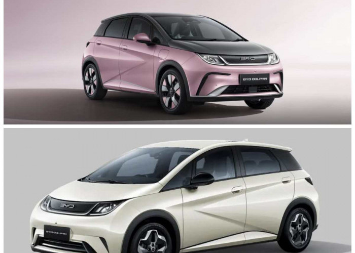 BYD Dolphin 2026 Resmi Hadir di Indonesia, Mobil Listrik Stylish dengan Harga Kompetitif Bikin Peminat Melirik