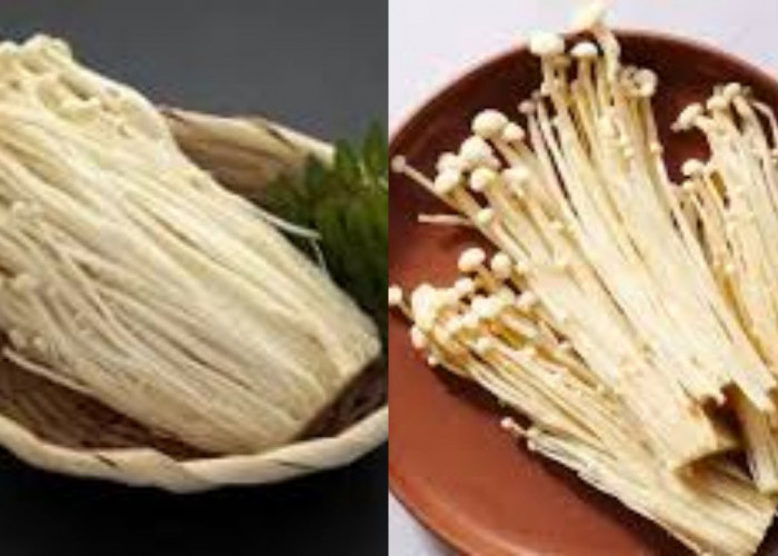  Rahasia Sehat dari Jamur Enoki: Imun Kuat, Pencernaan Lancar
