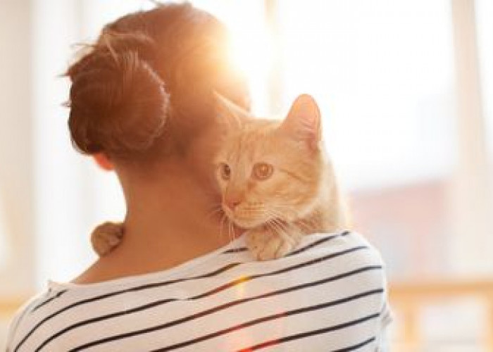 Kucing Suka Mendekat Artinya Sedang Didatangi Malaikat? Simak 6 Hal Ini!