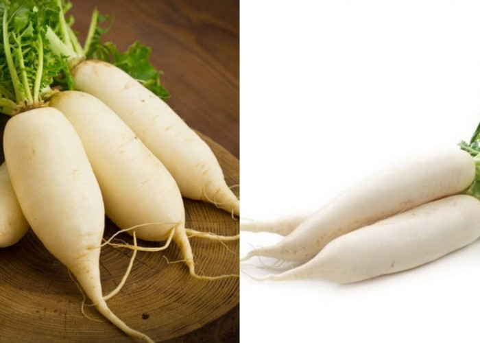 Manfaat Lobak yang Sayang untuk Dilewatkan, Kaya Nutrisi dan Serat!