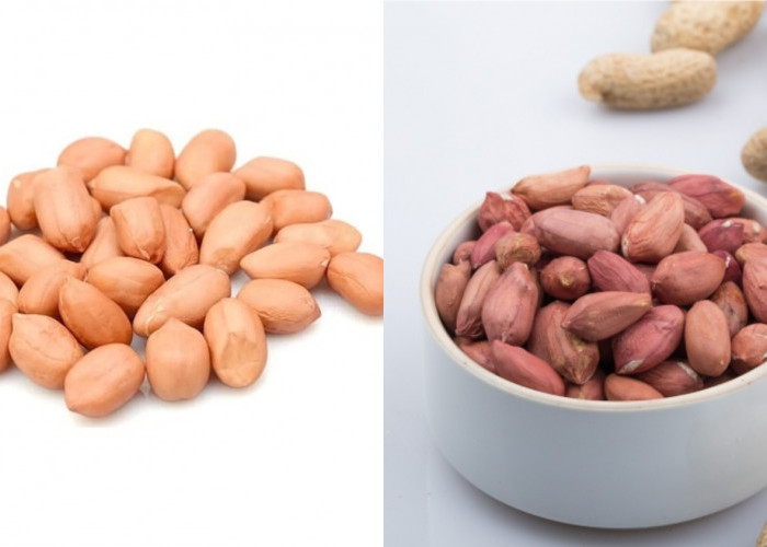 Berikut 8 Manfaat Kacang Tanah Untuk Kesehatan Yang Harus Kalian Ketahui! 