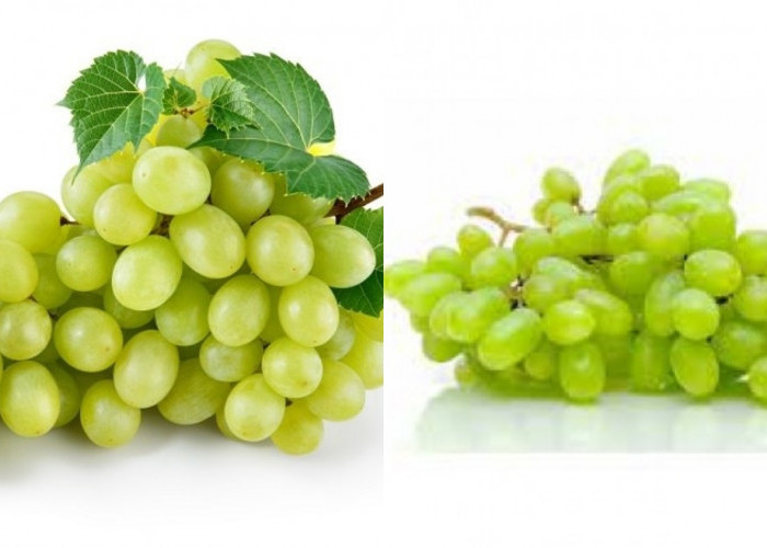 Beragam Manfaat Buah Anggur untuk Kesehatan Yang Harus Kalian Ketahui! 